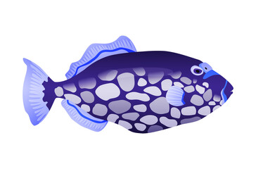 Decorative sea or aquarium fish on white background. Freshwater or saldwater aquarium cartoon fish. Variet of ornamental popular fish