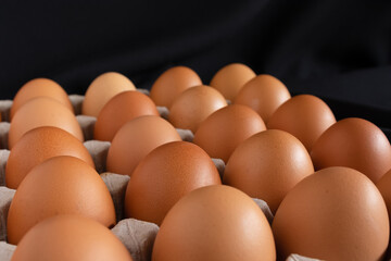 Chicken eggs in panel on black background