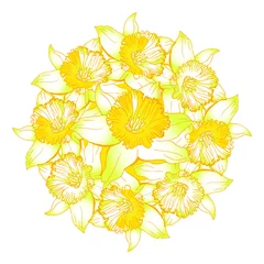 Keuken spatwand met foto Happy Easter wreath with yellow flowers narcissus, daffodils drawn by hand. Bright colored gradient vector floral element isolated on white background. © Rina Ka