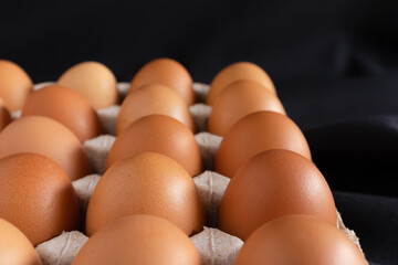 Chicken eggs in panel on black background