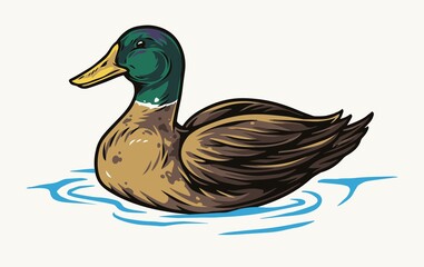 Duck swimming in water colorful template