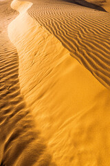 Sand dunes in the Thar desert, Rajasthan, India