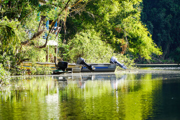 outboard engine moored by a river in a green forest of big trees.