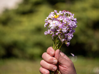 Fototapeta na wymiar bouquet de fleure