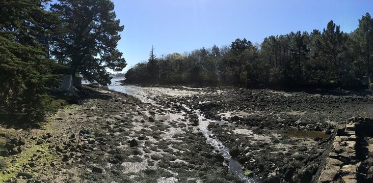 รูปภาพGoulet เลือกดูภาพถ่ายสต็อก เวกเตอร์ และวิดีโอ867 Adobe Stock