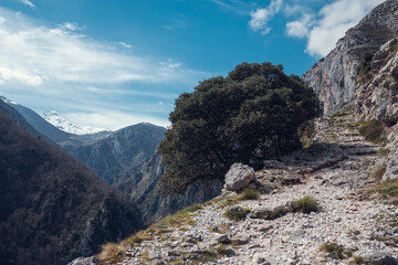 The climb to Tresviso is one of the best known and most demanding routes in Cantabria. Once in town we can buy the typical Tresviso picón cheese.