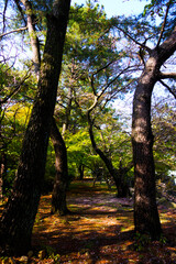 Obraz premium 久留米城跡の日本庭園