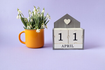 Calendar for April 11: cubes with the number 11, the name of the month of April in English, a bouquet of snowdrops in a yellow tea cup on a blue background