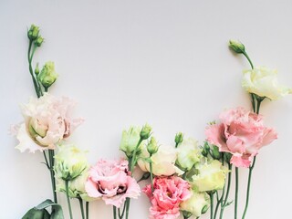 Flowers composition. Frame made of eustoma beautiful pink and white eustoma flowers, lisianthus. Greeting wedding or spring, summer card. Minimalism. Flat lay, top view, copy space