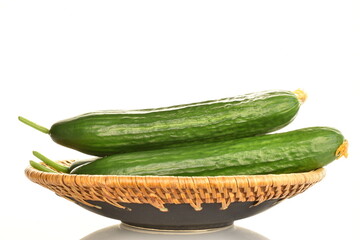 Three juicy green cucumbers in a ceramic plate, close-up, isolated on white.
