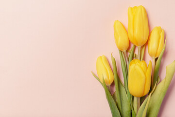 tulips with yellow petals on a beige background,  bouquet of flowers