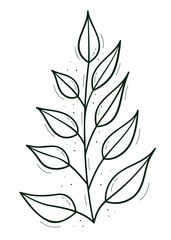 A branch with sparse leaves.Contour doodle sketch dark green white. Isolated vector drawing on a white.