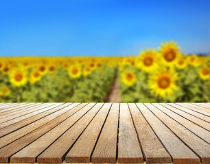 Blurry sunflower field background montage photo with wooden table top Product display backgorund concept