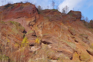 Red hills with birches against a blue sky.
