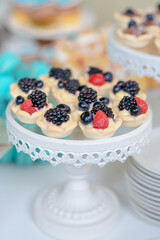 Delicious berries tartlets set on a white cake stand ready for guests, delicate miniature tarts, bite-size sweet treats with raspberries, mulberries and blueberries, custard filling and pastry crust