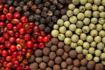 Red, green, black and brown pepper seeds