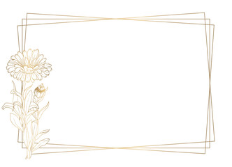 Plants line gold. Luxurious golden nature. White background. Flowers in a thin line. Light pastel colors. Vector abstract background.