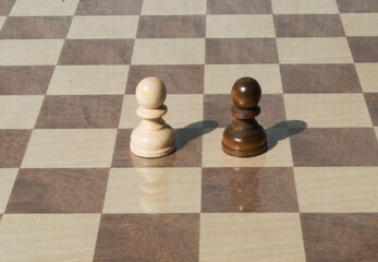 White and black pawns as a symbol of ethnic integration