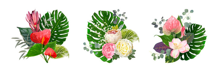 Set of luxury vector bouquets isolated on a white background. Blooming flowers of Anthurium, Paeonies, Leucadendron, tender Gypsophila among leaves of Eucalyptus, Monstera, Epipremnum, Ctenanthe