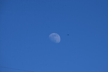 Mond im blauen Himmel © Markus Volk