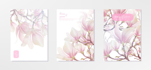 Magnolia flower, vector pink blossom. Sakura floral design. 3d minimal illustration, rose bloom.