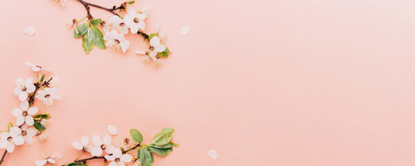 Obraz na płótnie Canvas April floral nature. Spring blossom and may flowers on pink. For banner, branches of blossoming cherry against background. Dreamy romantic image, landscape panorama, copy space.