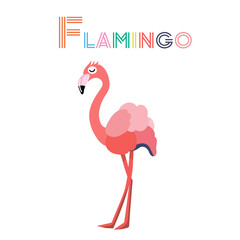 Flamingo bird on white background. Flat flamingo vector isolated. Wild animal vector illustration.
