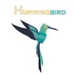 Fototapeta premium Humming bird on white background. Flat colibri vector isolated. Wild animal vector illustration.