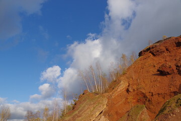 Red hills with birches against a blue sky.