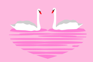 couple of white swans and pink heart