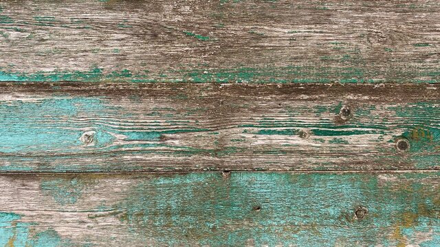 Old brown-blue wooden background with peeling paint and green mildew. Natural wood in grunge style. Top view. Raw planed texture of coniferous pine. Surface of table to shoot flat lay. Copy space.