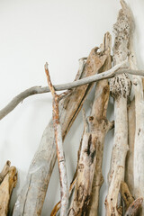 
Large driftwood found on the beach. Used for decoration in the living room. Photography with film noise