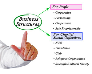 Profit and Non-profit Business Structures.