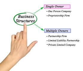 Woman Presenting Five Business Structures.