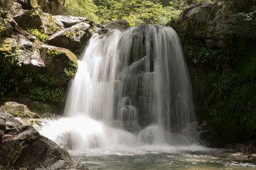 Fototapeta na wymiar waterfall flowing in a hidden place in a green peaceful place