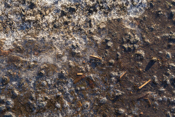 Frozen Dark Stoned Black Ice