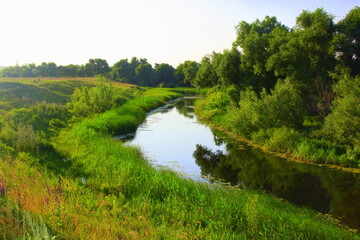 river in the forest