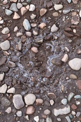 Frozen Pebbles in a Mud