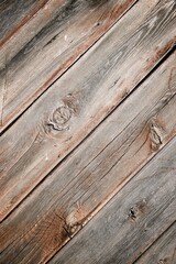 Wood background view