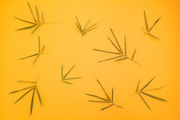 Many bamboo leaves arranged in a pattern on an orange background.