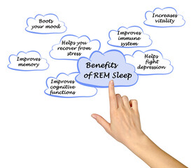 Seven Benefits of REM Sleep.