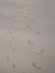 The footprints of the children and their mothers are on the sand beach.