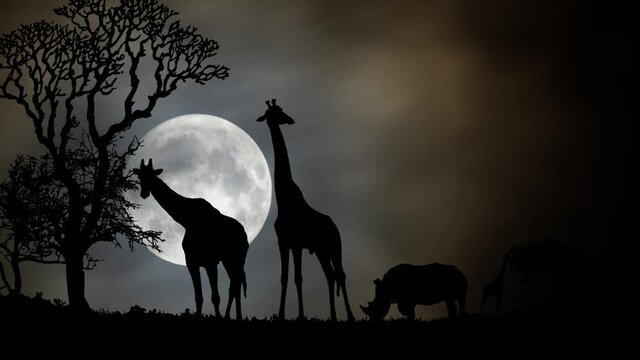 African Landscape by Night with Giraffe in Silhouette, Time Lapse with Full Moon