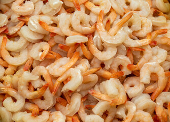 Fresh shrimps on Akko market.  Akko(Acre), Israel.