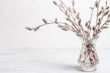 Sprig of willow on old white wooden boards background © FuzullHanum