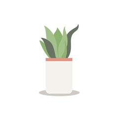 Home plant Vector illustration isolated on white background Tropical plant in trendy flowerpot Flat design