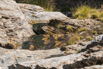 Water flowing down a ravine in Sierra Nevada