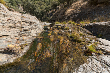 Water flowing down a ravine in Sierra Nevada