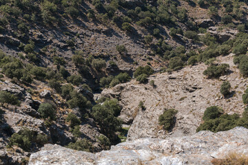 Fototapeta na wymiar stream in Sierra Nevada in southern Spain