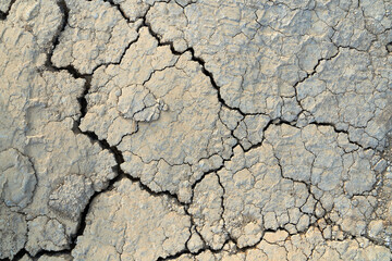 Landscape with cracked land.